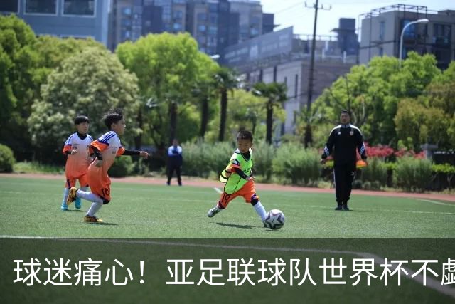 球迷痛心！亚足联球队世界杯不觑欧洲强敌 国足都赢不了泰国